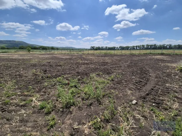 Prodej pozemku pro bydlení, Dolní Dunajovice, Pálavská, 631 m2