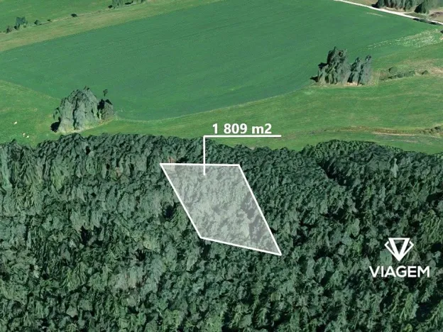 Prodej podílu lesa, Žďár nad Sázavou, 904 m2
