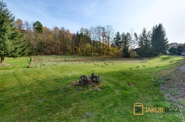 Prodej pozemku pro bydlení, Mříčná, 4212 m2