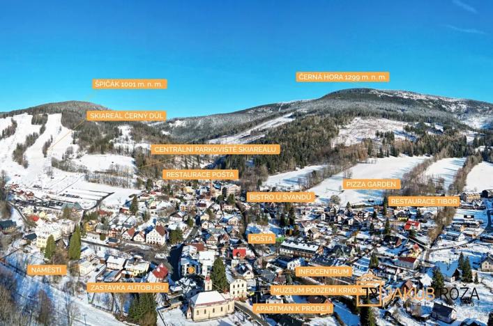 Prodej bytu 2+kk, Černý Důl, 50 m2