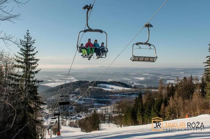 Prodej bytu 1+kk, Černý Důl, 28 m2