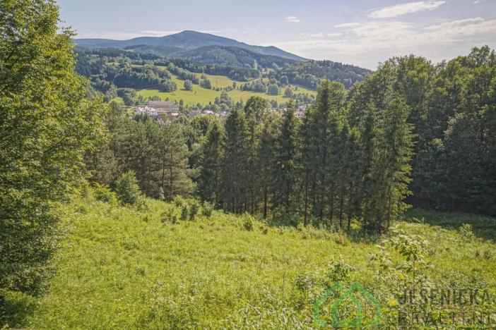 Prodej pole, Lipová-lázně, 12392 m2