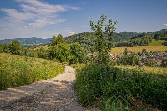 Prodej pole, Lipová-lázně, 12392 m2