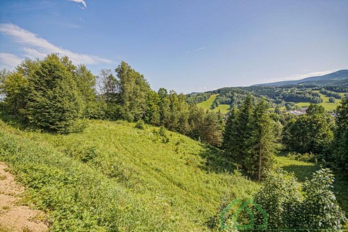 Prodej pole, Lipová-lázně, 12392 m2