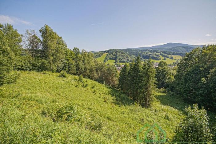 Prodej pole, Lipová-lázně, 12392 m2