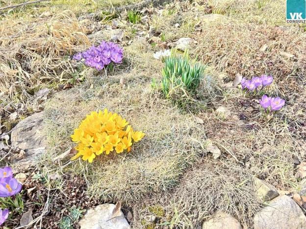 Prodej chaty, Litomyšl, Zahájská, 16 m2