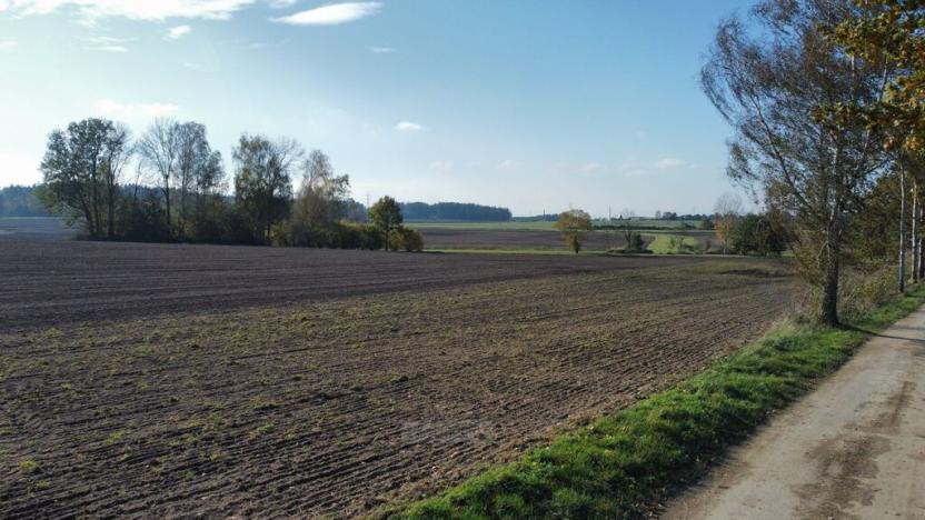 Prodej pole, Řípec, 49992 m2