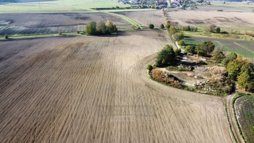 Prodej pole, Řípec, 49992 m2