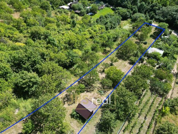 Prodej zahrady, Pouzdřany, 1698 m2