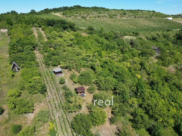 Prodej zahrady, Pouzdřany, 1698 m2