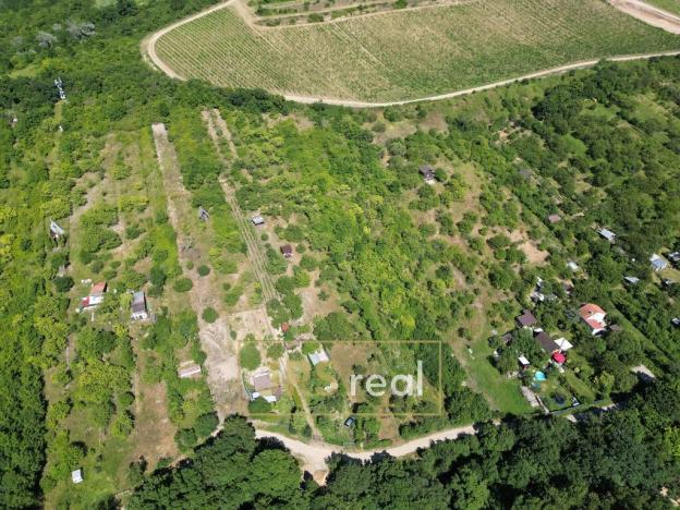 Prodej zahrady, Pouzdřany, 1698 m2