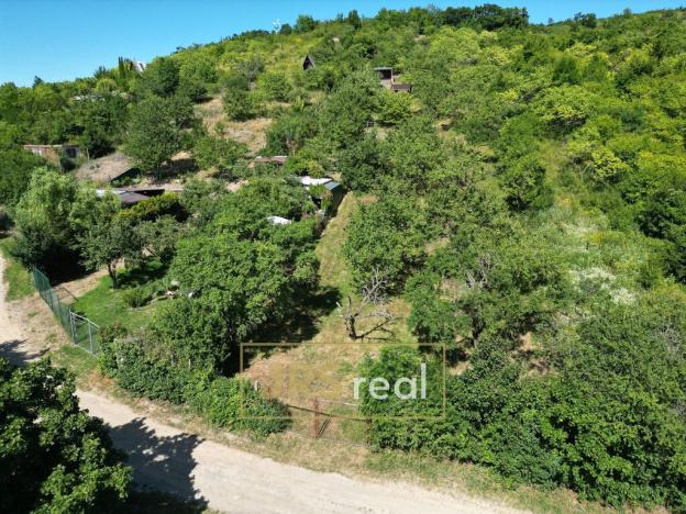 Prodej zahrady, Pouzdřany, 1698 m2