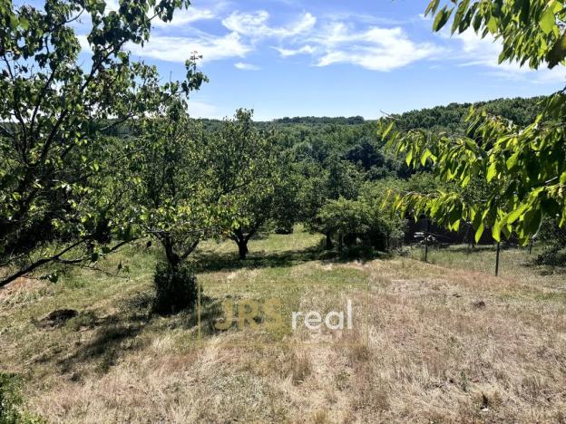 Prodej zahrady, Pouzdřany, 1698 m2