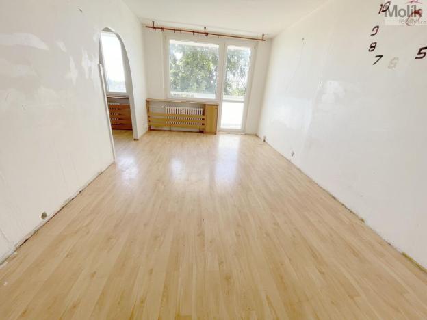 Prodej bytu 3+1, Litvínov - Janov, Hamerská, 69 m2