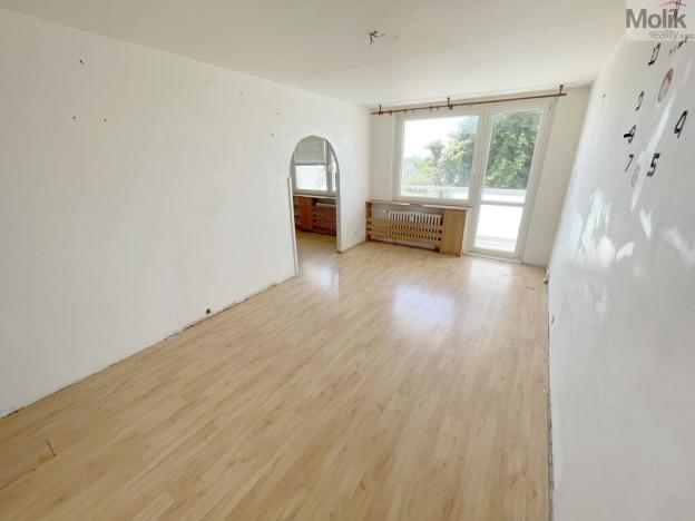 Prodej bytu 3+1, Litvínov - Janov, Hamerská, 69 m2