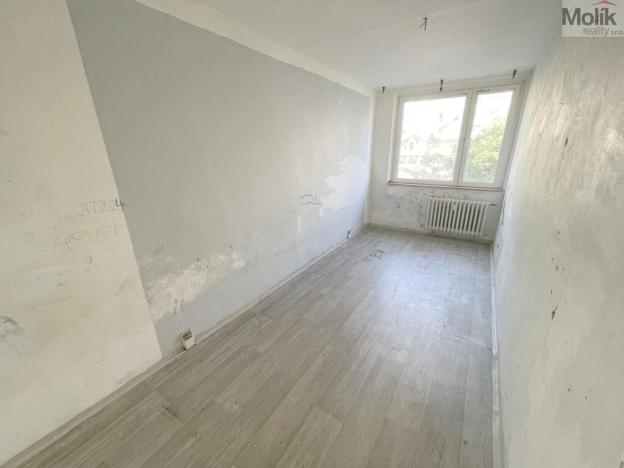 Prodej bytu 3+1, Litvínov - Janov, Hamerská, 69 m2