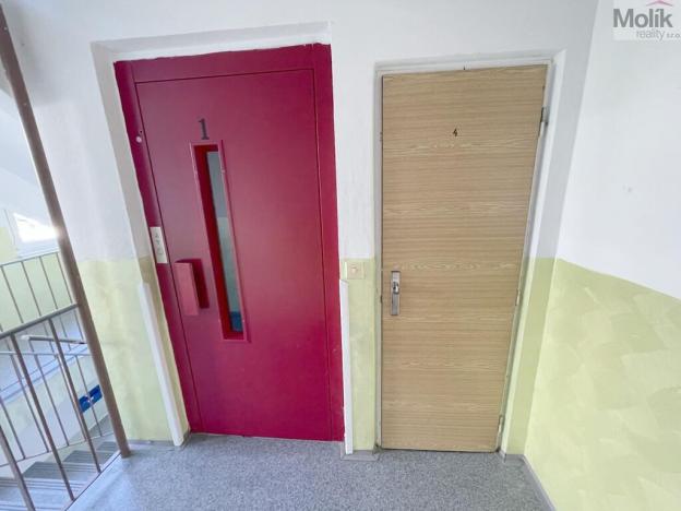 Prodej bytu 3+1, Litvínov - Janov, Hamerská, 69 m2