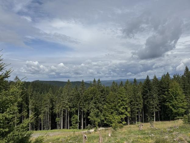 Prodej chaty, Velké Karlovice, 83 m2