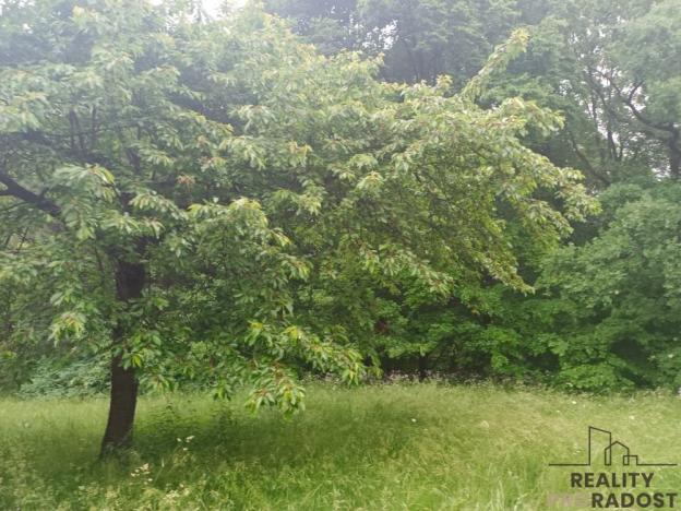 Prodej chaty, Velké Chvojno - Žďár, 36 m2