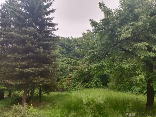Prodej chaty, Velké Chvojno - Žďár, 36 m2