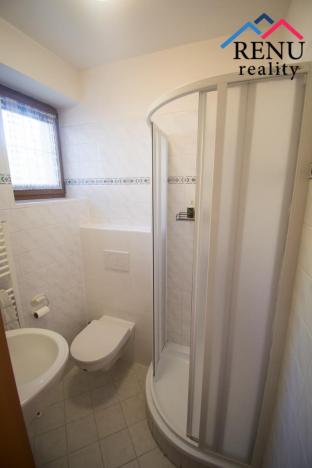 Pronájem rodinného domu, Mnichovo Hradiště, Lomená, 214 m2