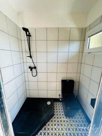 Prodej rodinného domu, Novosedlice, Bystřická, 190 m2