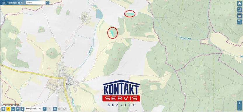 Prodej lesa, Čepřovice, 2819 m2