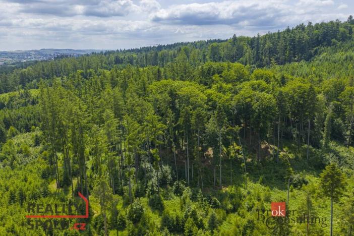 Prodej pozemku pro bydlení, Jihlava - Zborná, 704 m2