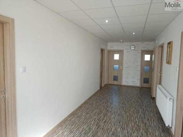 Prodej rodinného domu, Chomutov, Alešova, 296 m2