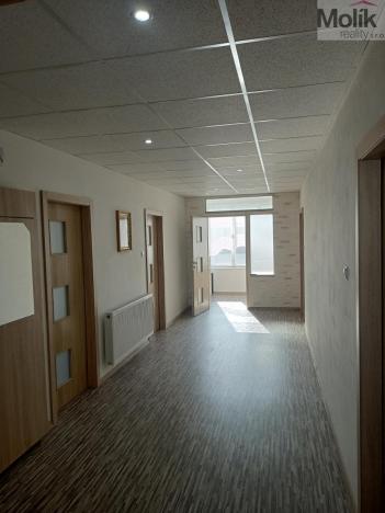 Prodej rodinného domu, Chomutov, Alešova, 296 m2