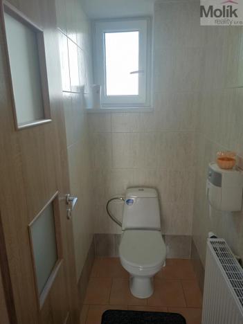 Prodej rodinného domu, Chomutov, Alešova, 296 m2