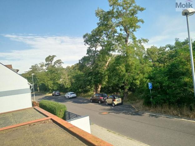 Prodej rodinného domu, Chomutov, Alešova, 296 m2