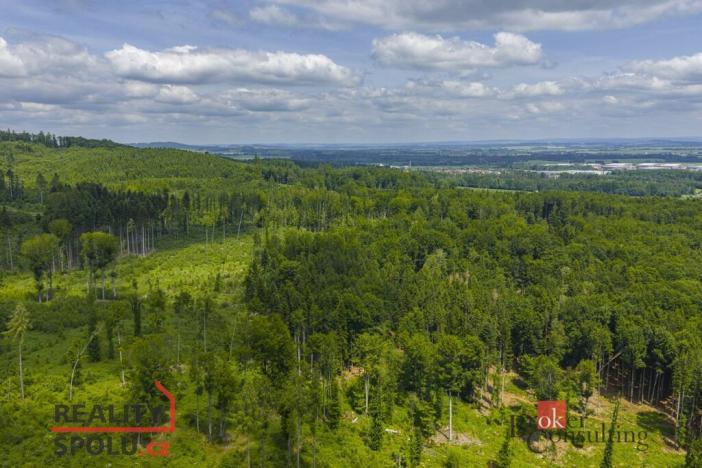 Prodej rodinného domu, Jihlava - Zborná, 136 m2