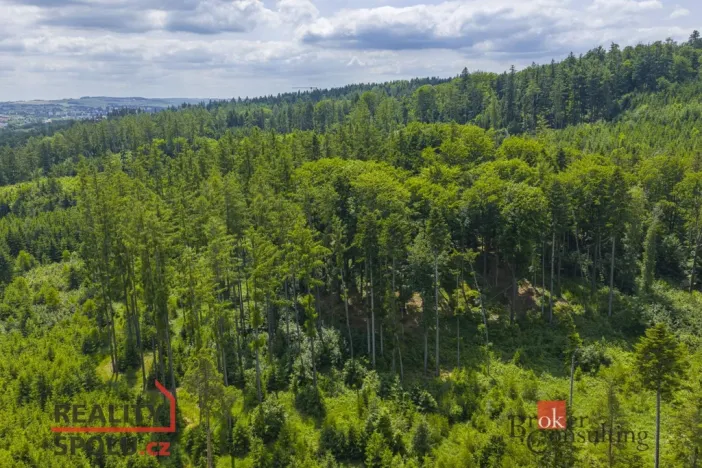 Prodej rodinného domu, Jihlava - Zborná, 136 m2