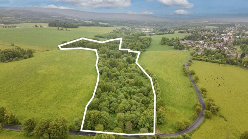 Prodej pole, Krajková, 54868 m2