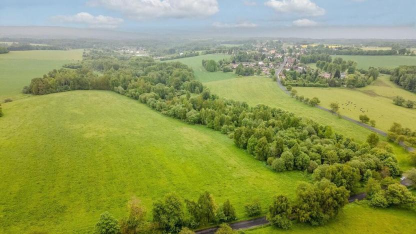 Prodej pole, Krajková, 54868 m2
