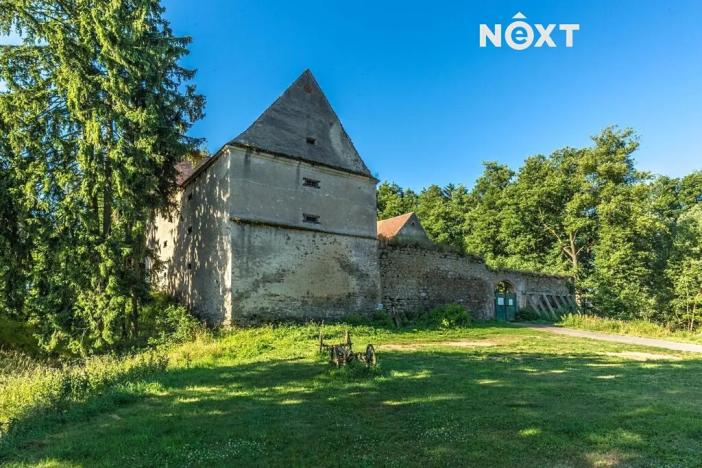 Prodej - jiné, Buzice, 1800 m2