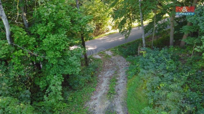 Prodej pozemku pro bydlení, Chotěvice, 6617 m2