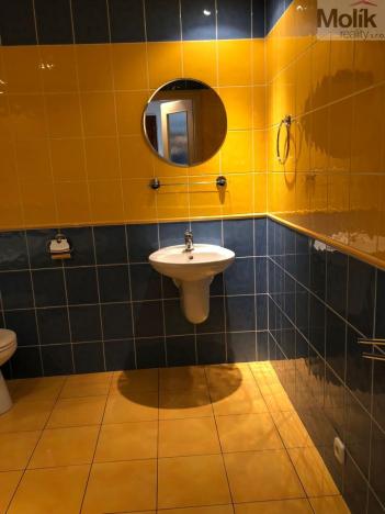 Prodej bytu 3+1, Most, Maxima Gorkého, 68 m2