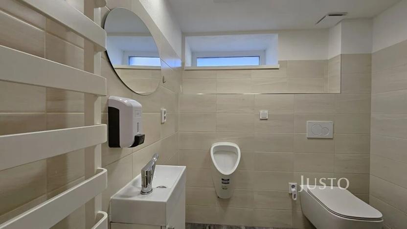 Prodej rodinného domu, Písek, Nová, 276 m2