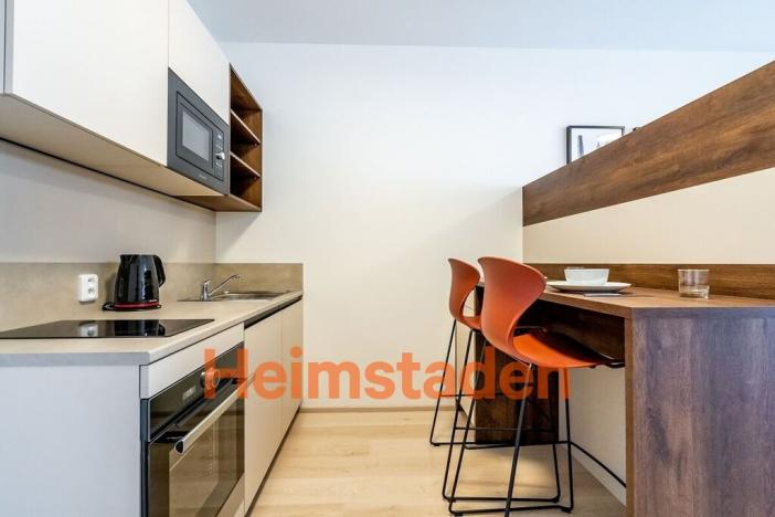 Pronájem bytu 1+kk, Plzeň - Jižní Předměstí, Magisterská, 35 m2