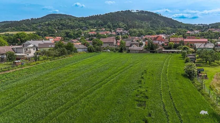 Prodej pozemku pro bydlení, Chodouň, 6761 m2
