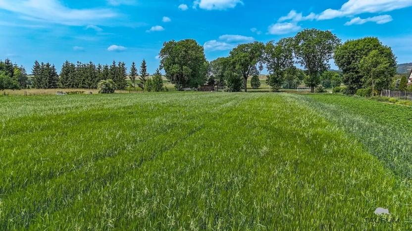 Prodej pozemku pro bydlení, Chodouň, 6761 m2