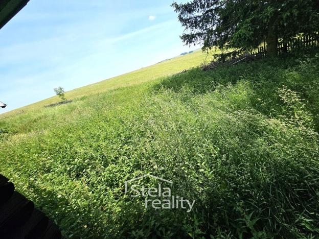 Prodej rodinného domu, Břidličná - Albrechtice u Rýmařova, 320 m2