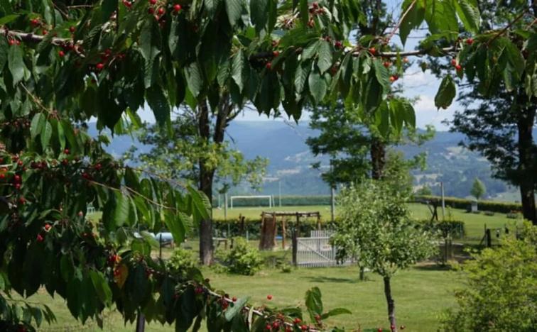 Prodej bytu 5+kk, Vysoké nad Jizerou, 165 m2