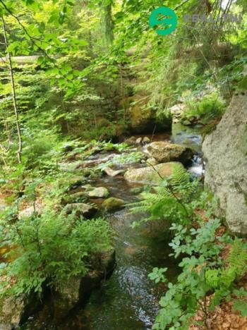 Prodej rodinného domu, Desná - Desná III, Riedlova, 147 m2