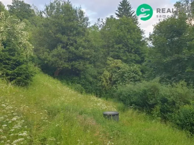 Prodej rodinného domu, Desná - Desná III, Riedlova, 147 m2