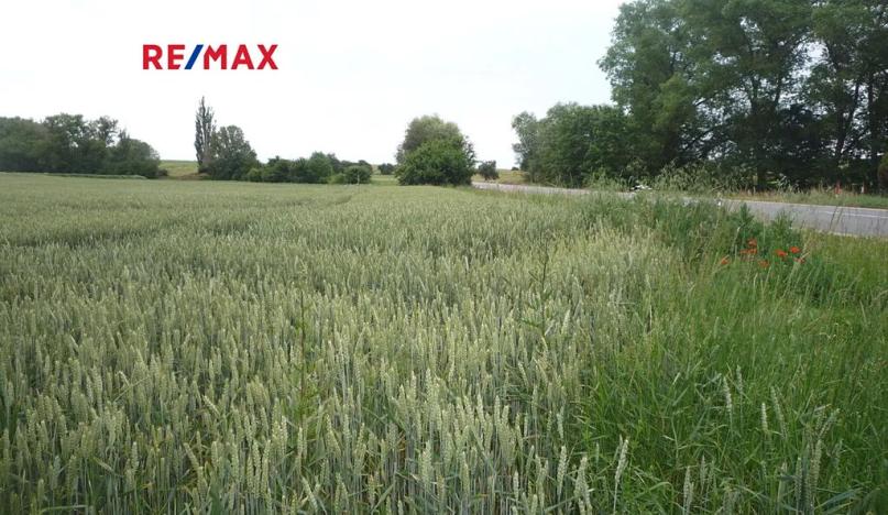 Prodej pozemku pro bydlení, Hořesedly, 985 m2