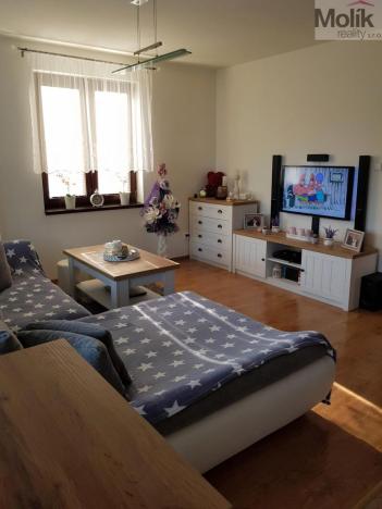 Pronájem rodinného domu, Blažim, 514 m2