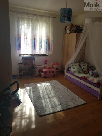 Pronájem rodinného domu, Blažim, 514 m2